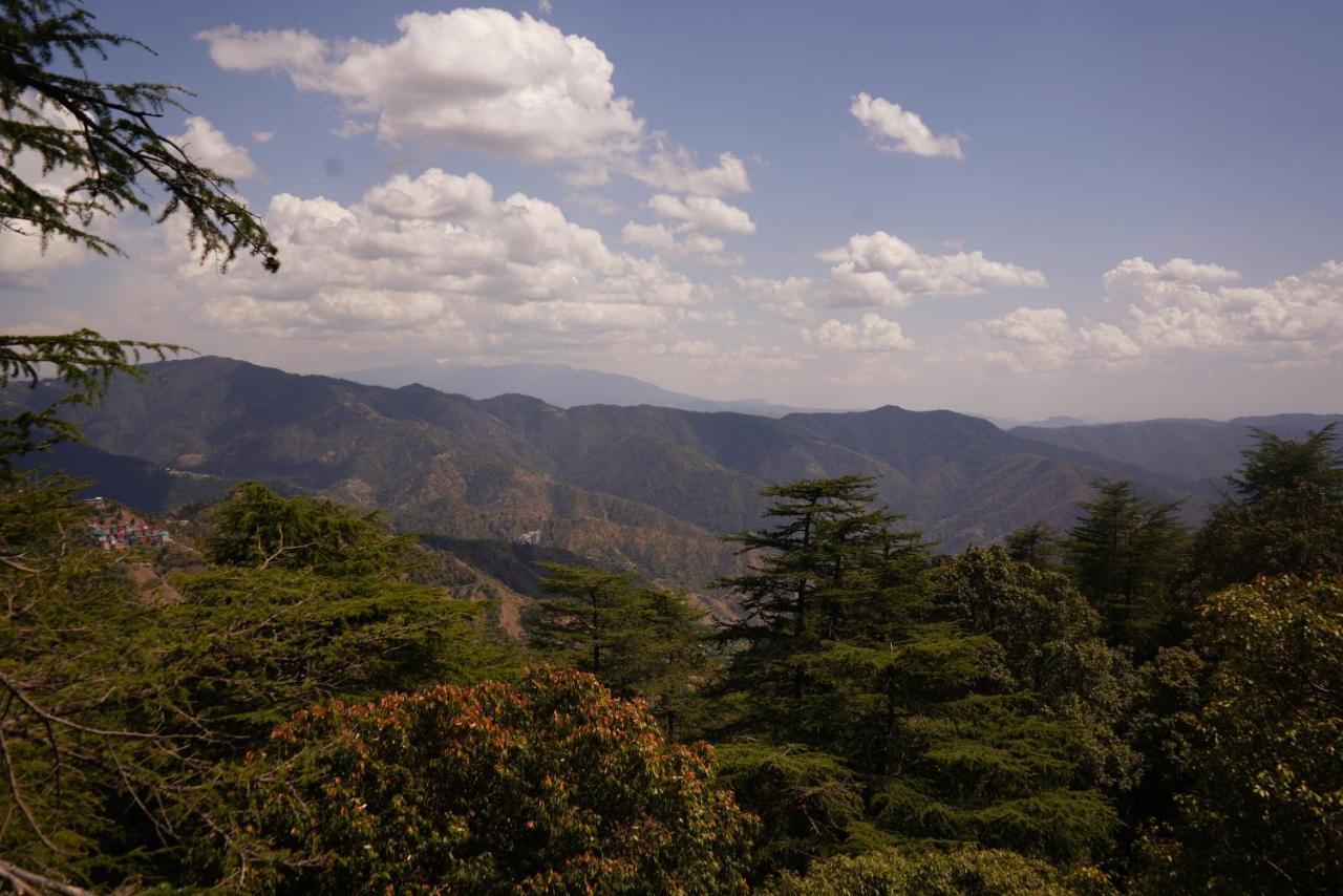 Jakhu Vibes Shimla Extérieur photo