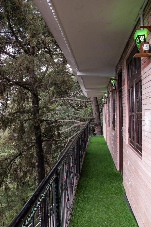 Jakhu Vibes Shimla Extérieur photo