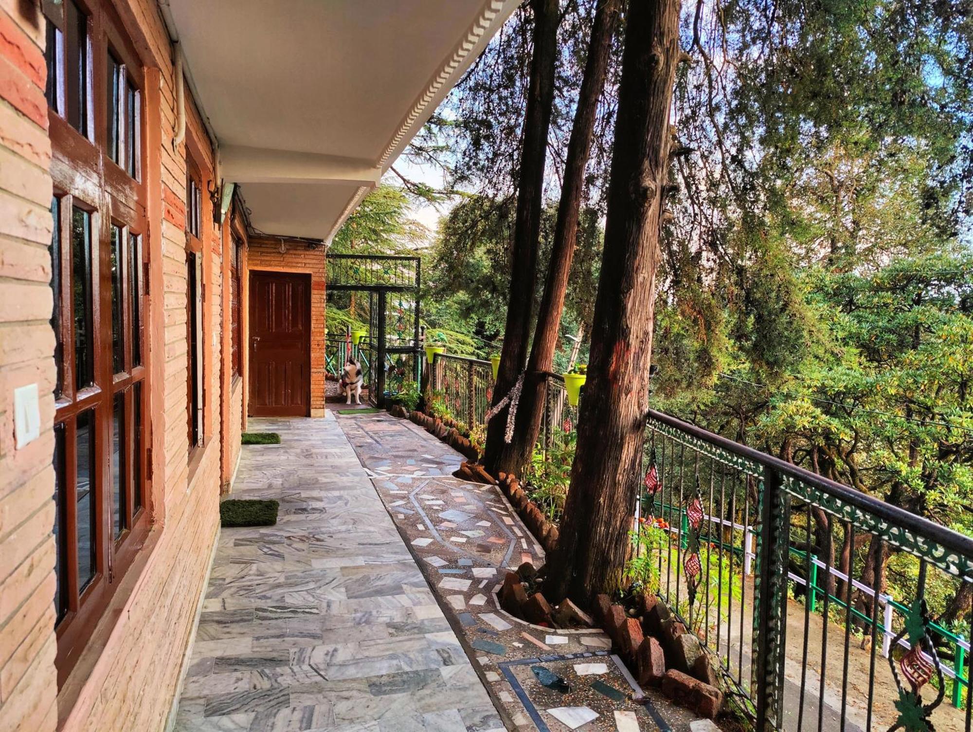 Jakhu Vibes Shimla Extérieur photo