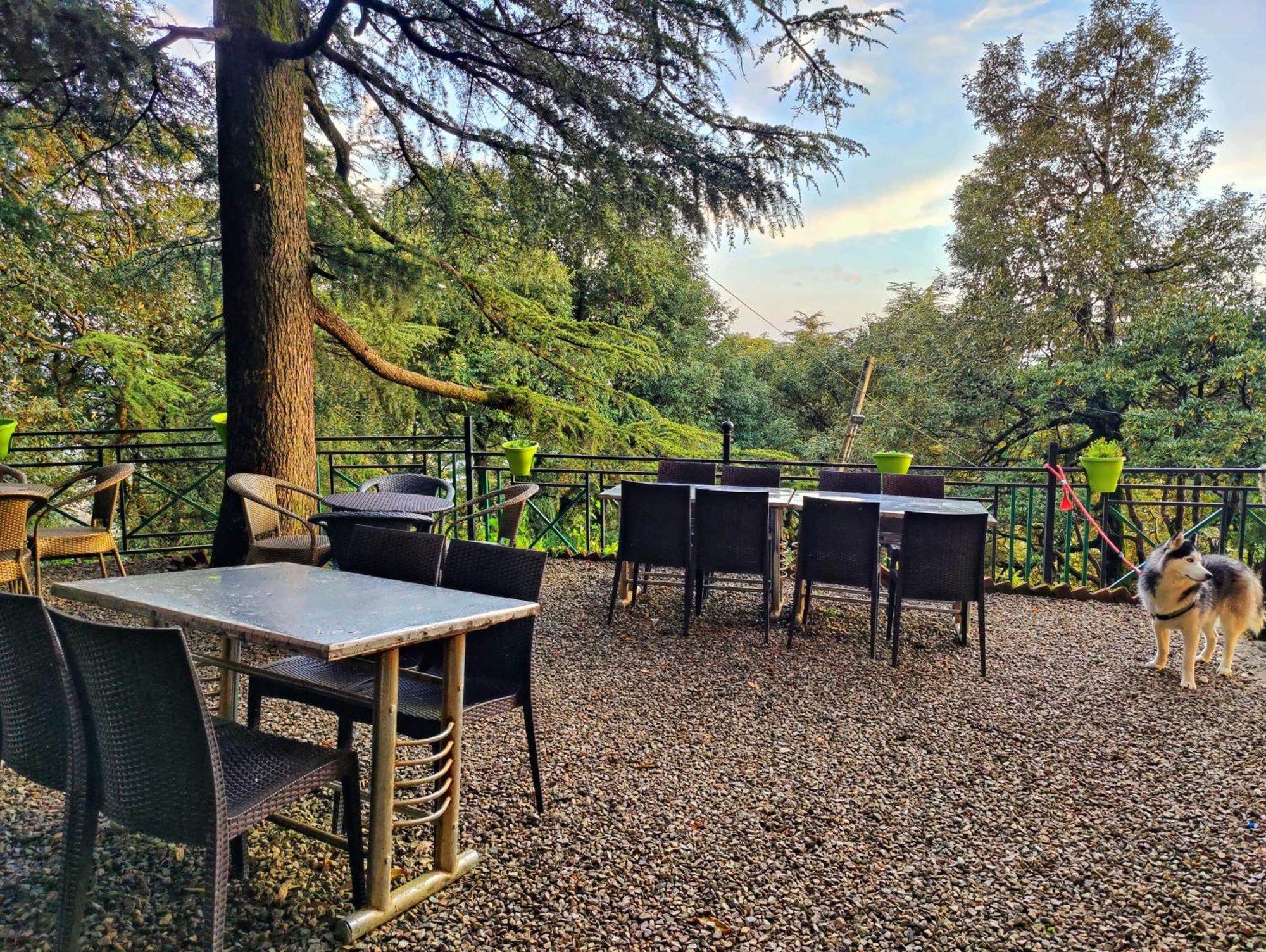 Jakhu Vibes Shimla Extérieur photo